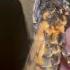 How Stunning Is This Moth Deaths Head Hawk Moth Youtubeshorts Deathshead Moths