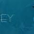 Halsey Without Me Lyrics