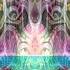 VA Anima Mundi Full Compilation Downtempo Ethnic Psybient Psychill Psydub