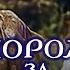 Запорожец за Дунаем 1953 музыкальная комедия