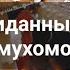 Трип на мухоморах внезапный и незапланированный Не делайте так