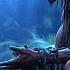Raven Whisper Native American Flute Music A Meditative Journey With The Raven Spirit