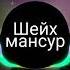 Шейх мансур Балдини