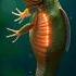 Inside The Secret World Of Metamorphosis Nature S Astonishing Transformation