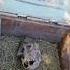 A Mysterious Discovery Beneath A Bulgarian Field Didyouknow History Ancient Historyfacts