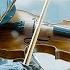 Metal X Violin Where Relentless Riffs Meet Timeless Strings