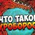 Что такое Уроборос Страшилки