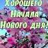 Воскресенье С Добрым Утром Хорошего Дня