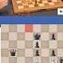 Magnus Carlsen Vs Alexey Sarana Magnuscarlsen Alexeysarana
