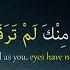 Qamarun By Mostafa Atef