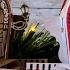 Tonic Studios VINTAGE VARDO Festive Vardo
