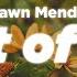 Shawn Mendes Heart Of Gold Lyrics