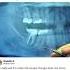 A Prisoner In Sweden Did WHAT Funny Memes DawgWithMemes Shorts