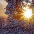 Music For The Treatment Of The Heart And Nervous System Gentle Music For The Soul And Life