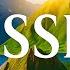 Russia 4K Scenic Relaxation Film With Calming Music