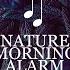 Nature Alarm Clock