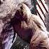 Street Fighter 6 Akuma S Theme Shura