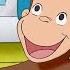 George And The Cheeky Squirrel Curious George Kids Cartoon Kids Movies