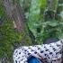 RAIN DROPS FALL RUSSIAN Beautiful Song With Guitar Cover By Sheepovskaya