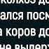 Как Пр ститутка Решила Устроиться В Колхоз Дояркой Сборник Смешных Анекдотов Юмор Позитив