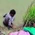 Naiyo Lagda Dil Tere Bina Funny Status Ll Salman Khan New Song Status Shorts Naiyolagda Love