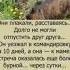 юмор шутки