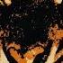 Survivor Eye Of The Tiger HQ FLAC