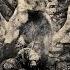 Noctem Haeresis Full Album 2016