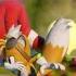 Sonic Dash Vs Sonic Dash 2 Sonic Boom Tails