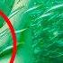 What Happens If You Pee In The Ocean Reacting To Your Medical Questions