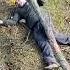 Mandown Lovemyjob Reecoil Lovetheclimb Survivor Treework Arblife Treeclimber