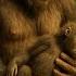 CRYING Mother Bigfoot Brings Her Dying Son To A Man What He Did Next Shocked Everyone