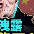 馬斯克驚天洩密 中共極力掩蓋數年 中國人口減少了X億 文昭談古論今20250221第1522期 2