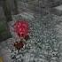 Minecraft Silverfish Funny Moment