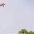 Igbo Cultural Dance Must Watch Trending Igbo Igbohighlife