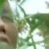 Clip Veter Mp4