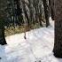 Do You Like The Sound Of Walking On Snow Snow Winter Asmr