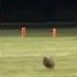 Fuller Focus On Football Rolesville Vs Fike 2019