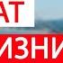 Лучший штат в США в 2024 году Лучшие города для переезда в Америку Стоит ли ехать в Остин Техас