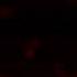 Friday Night Funkin VS The Auditor OST Game Over MOST LIKELY CANCELLED