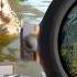 Hunting ALLIGATORS With A CROSSBOW ᵗʰᵉʸ ʷᵃⁿᵗ ᵗᵒ ᵉᵃᵗ ᴾᵃᵇˡᵒ TheHunter Call Of The Wild