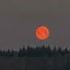 WARNING A Rare Blood Moon Will Appear On March 14 Shorts Bloodmoon