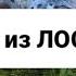 УХ УХ УХА из ЛОСОСЯ БЫСТРЫЙ СУП от Homechefalex