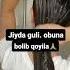 Jiyda Guli
