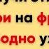 Глаголы которые французы используют каждый день Часть 1 Повседневные слова которые нужно знать