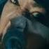 Daron Malakian And Scars On Broadway Killing Spree Official Video