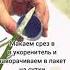Не выбрасывай букет роз Посадим новую розу Черенкование часть 2 сад огород дача грядка
