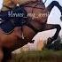 добьем 700 лошади Horse конный спорт свечка видео музыка спорт лошади
