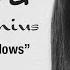 Nora Augustinius Bust Your Windows Jazmine Sullivan