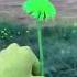 Улыбнись улыбка смайл одуванчик Shorts